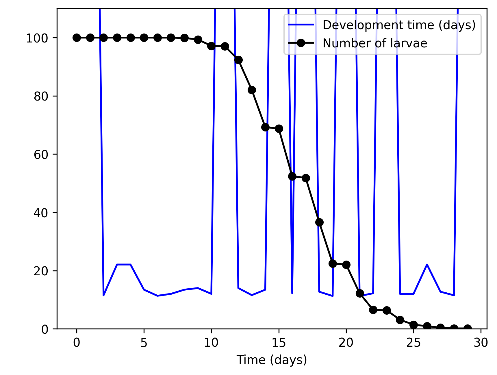 Larva development